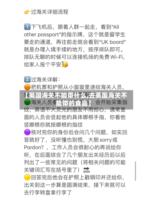 【英国海关不能带什么,去英国海关不能带的食品】-第2张图片