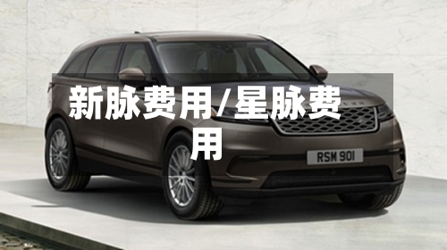 新脉费用/星脉费用