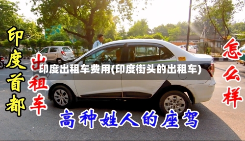 印度出租车费用(印度街头的出租车)-第2张图片