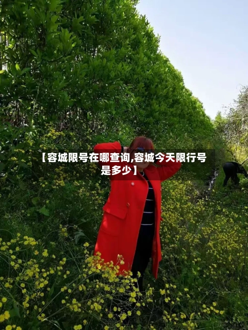 【容城限号在哪查询,容城今天限行号是多少】