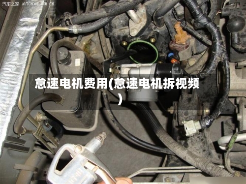 怠速电机费用(怠速电机拆视频)-第2张图片