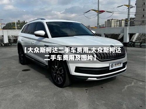 【大众斯柯达二手车费用,大众斯柯达二手车费用及图片】-第2张图片