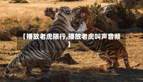 【播放老虎限行,播放老虎叫声音频】-第2张图片