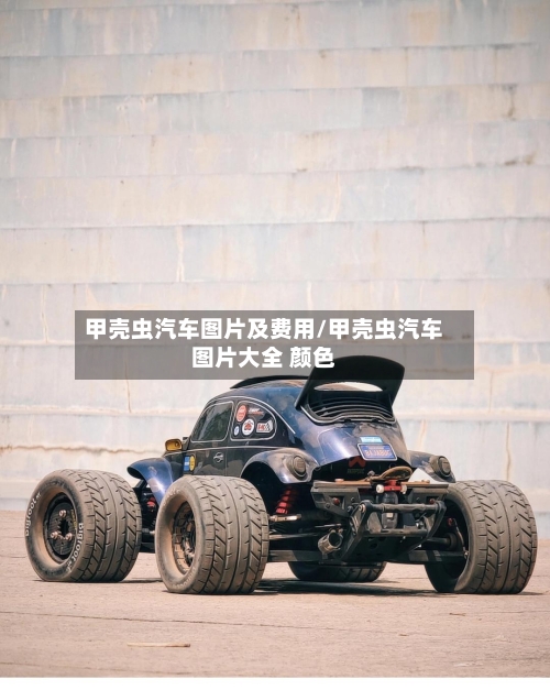 甲壳虫汽车图片及费用/甲壳虫汽车图片大全 颜色