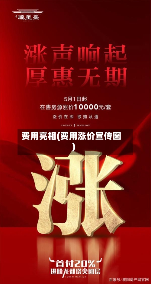 费用亮相(费用涨价宣传图)