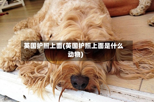 英国护照上面(英国护照上面是什么动物)