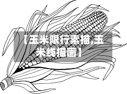 【玉米限行素描,玉米线描画】