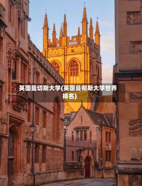 英国曼切斯大学(英国曼彻斯大学世界排名)-第2张图片