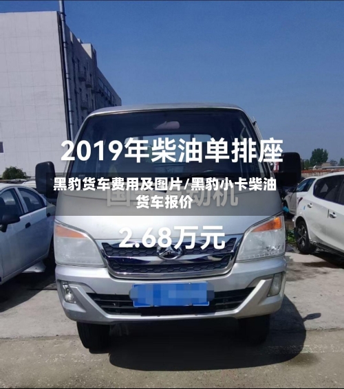 黑豹货车费用及图片/黑豹小卡柴油货车报价
