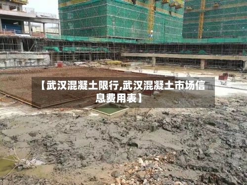 【武汉混凝土限行,武汉混凝土市场信息费用表】