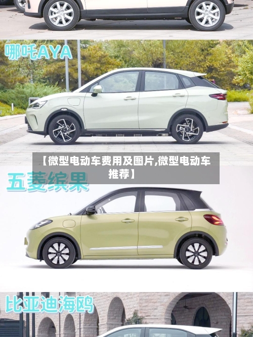【微型电动车费用及图片,微型电动车推荐】