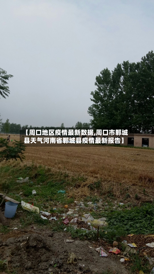 【周口地区疫情最新数据,周口市郸城县天气河南省郸城县疫情最新报告】
