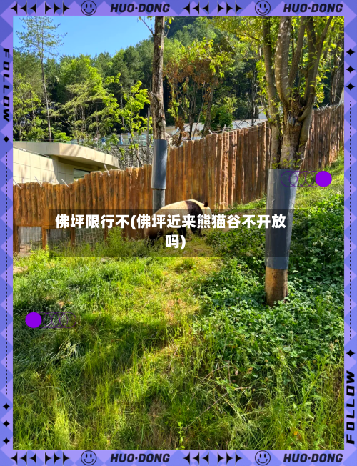 佛坪限行不(佛坪近来熊猫谷不开放吗)