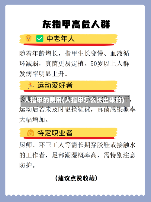 人指甲的费用(人指甲怎么长出来的)-第3张图片