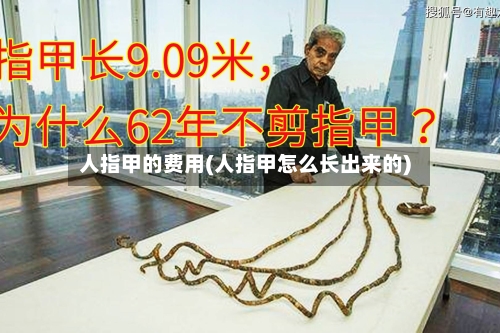 人指甲的费用(人指甲怎么长出来的)-第2张图片