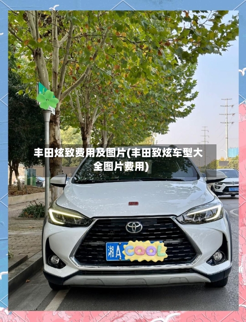 丰田炫致费用及图片(丰田致炫车型大全图片费用)