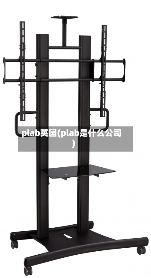 plab英国(plab是什么公司)