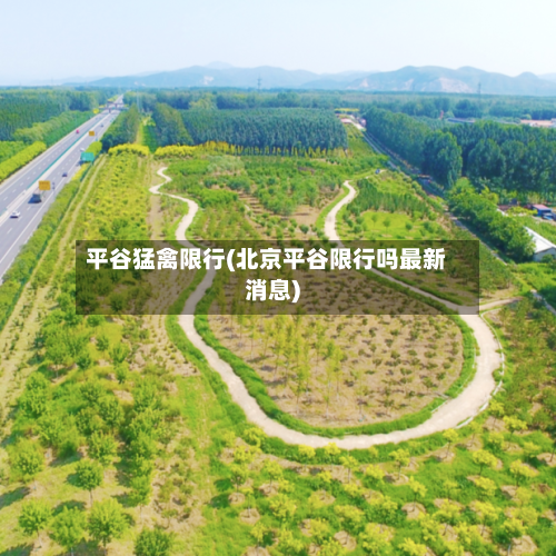 平谷猛禽限行(北京平谷限行吗最新消息)