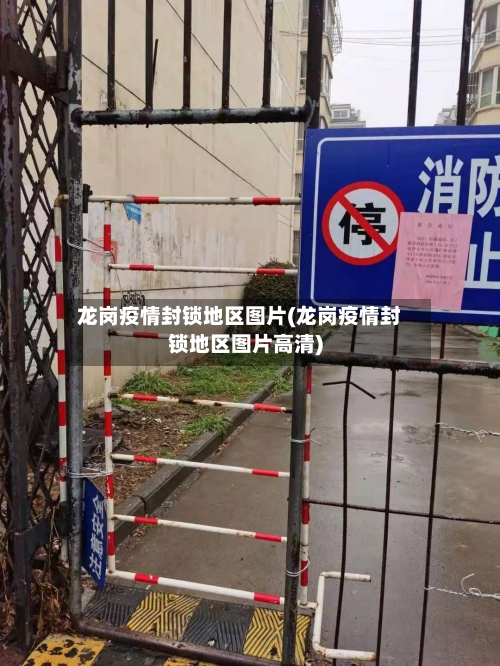龙岗疫情封锁地区图片(龙岗疫情封锁地区图片高清)-第2张图片