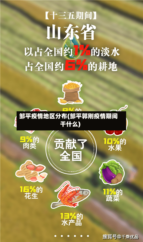 邹平疫情地区分布(邹平郭刚疫情期间干什么)-第2张图片