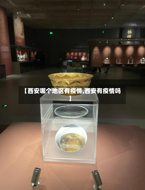 【西安哪个地区有疫情,西安有疫情吗】