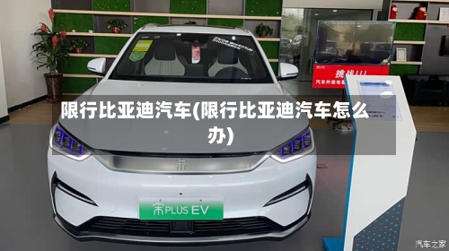 限行比亚迪汽车(限行比亚迪汽车怎么办)-第2张图片