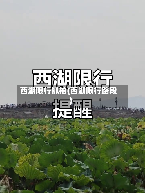 西湖限行抓拍(西湖限行路段)