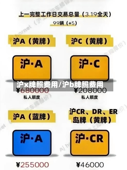 沪x牌照费用/沪b牌照费用-第2张图片
