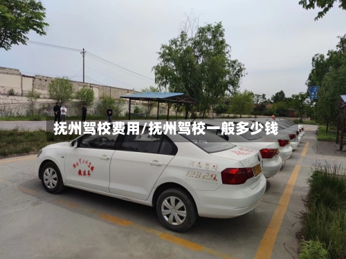 抚州驾校费用/抚州驾校一般多少钱-第2张图片