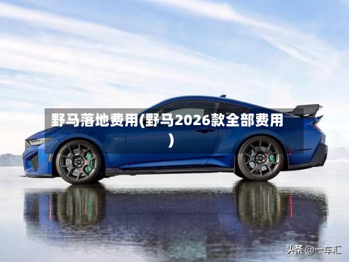 野马落地费用(野马2026款全部费用)-第2张图片