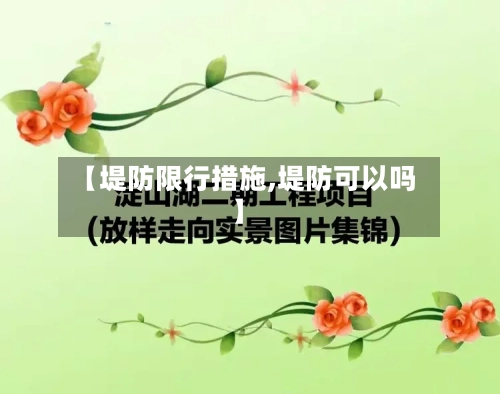 【堤防限行措施,堤防可以吗】-第2张图片