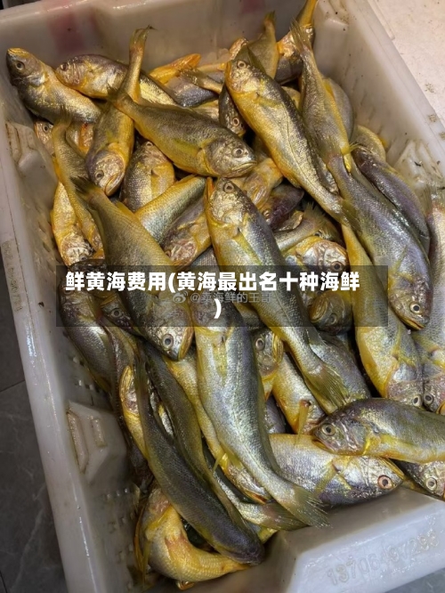鲜黄海费用(黄海最出名十种海鲜)