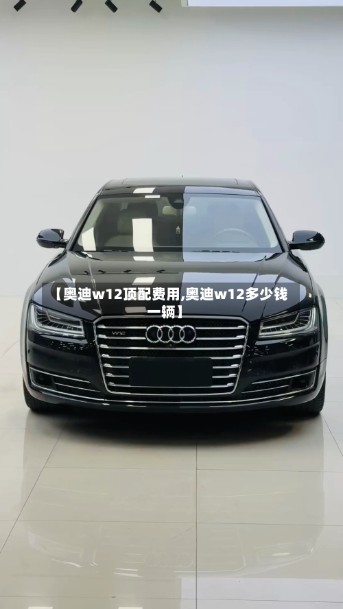 【奥迪w12顶配费用,奥迪w12多少钱一辆】-第2张图片