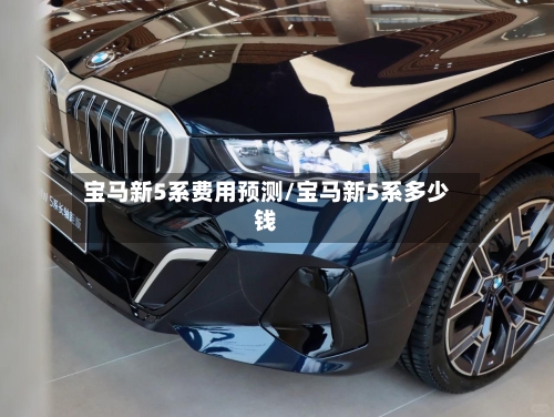 宝马新5系费用预测/宝马新5系多少钱-第2张图片
