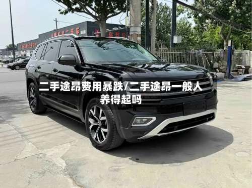 二手途昂费用暴跌/二手途昂一般人养得起吗