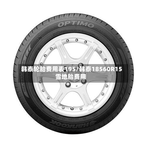 韩泰轮胎费用表195/韩泰18560R15雪地胎费用