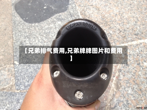 【兄弟排气费用,兄弟牌牌图片和费用】-第3张图片