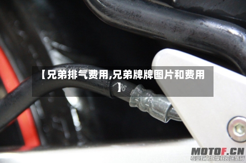 【兄弟排气费用,兄弟牌牌图片和费用】