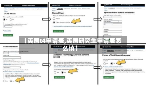 【英国t4申请表,英国研究生申请表怎么填】-第3张图片
