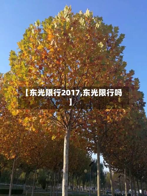 【东光限行2017,东光限行吗】-第2张图片