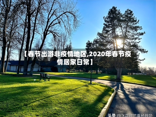 【春节出游非疫情地区,2020年春节疫情居家日常】