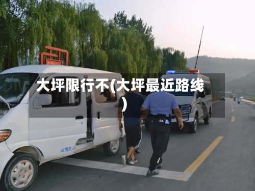 大坪限行不(大坪最近路线)-第2张图片