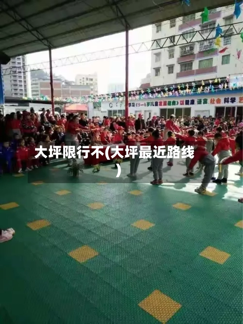 大坪限行不(大坪最近路线)