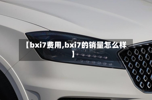 【bxi7费用,bxi7的销量怎么样】-第3张图片