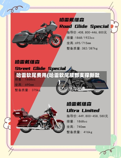 哈雷软尾费用(哈雷软尾腰部支撑新款)