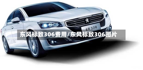 东风标致306费用/东风标致306图片-第3张图片