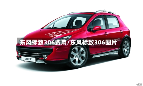 东风标致306费用/东风标致306图片