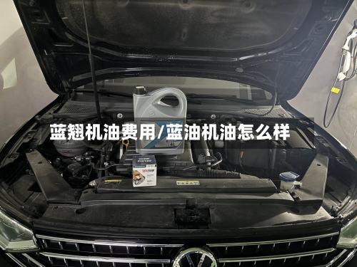 蓝翘机油费用/蓝油机油怎么样-第2张图片