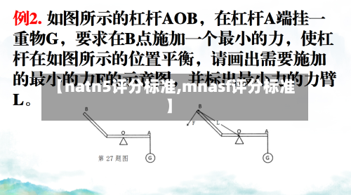 【natn5评分标准,mnasf评分标准】