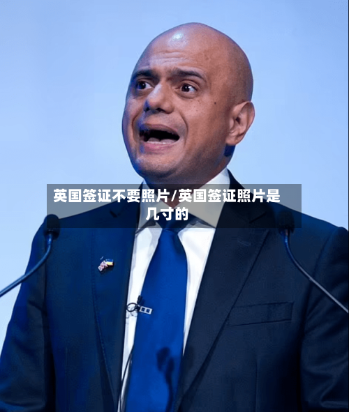 英国签证不要照片/英国签证照片是几寸的